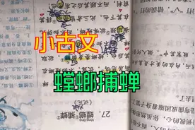三年级小朋友学习小古文《螳螂捕蝉》，一起来学学吧！视频封面