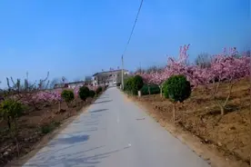 切身体验告诉你，摩托车高速别走应急车道！视频封面