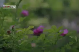 列兵荣立三等功！这位女兵告诉你什么是最美的青春！视频封面