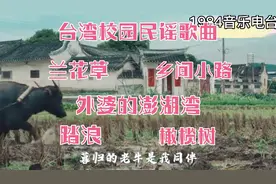 台湾校园民谣歌曲合集《乡间小路》《兰花草《踏浪》《橄榄树》