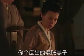知否大娘子，当大娘子十级嘴炮功发威，怼skr林小娘没商量啊视频封面