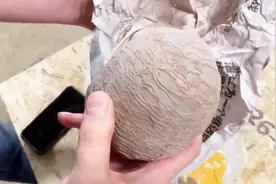 老外网购了一枚恐龙蛋，花了1593元，切开后里面是什么样子？