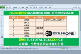 006 Excel 筛选隐藏行以及删除行后保持序号连续视频封面