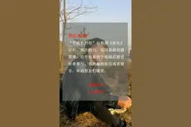 团队招募，欢迎加入。