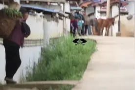 孩子头上两个璇，你知道代表着什么吗视频封面