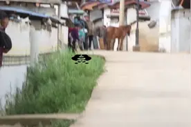孩子头上两个璇，你知道代表着什么吗视频封面