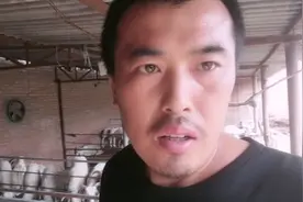 育肥羊杀虫半月了，粪便中还有虫子，怎么回事了视频封面