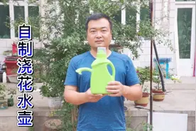 洗衣液瓶千万别扔！农村小伙教你制作漂亮浇花水壶，比买的还好看视频封面