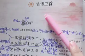 小学语文四年级上册-第9课-古诗三首视频封面