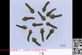 200种中药彩图快速记忆！视频封面