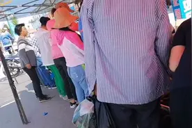 哪儿不用去，在家轻轻松松年赚几十万，只限东北地区视频封面