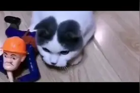 搞笑:兄弟们,给我上,让它看看我们哈族的厉害,骂死他视频封面
