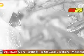 男子6年前野泳被呛水，竟感染寄生虫，医生取出活裂头蚴视频封面