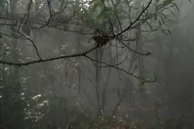 你永远不知道上一秒和你谈笑风生的战友，下一秒会不会就阴阳两隔