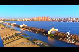 临沂人：你知道沂河的由来吗？别等朋友问你的时候一问三不知！！视频封面