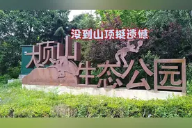 大连景点之大顶山生态公园，没到山顶挺遗憾，山前山后两重天视频封面