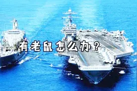 航母上老鼠泛滥怎么处理？美国养猫、用红外线，中国笨方式最治本视频封面