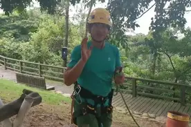 攀树需要用到的绳结讲解。视频封面