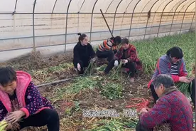 静静妈妈干活不回家吃饭，静静急了赶紧去找妈妈，结局让人很暖心视频封面