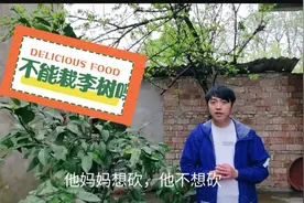 妈妈说院子栽李树不吉利，儿子一定要留下来，闹矛盾，谁有道理？视频封面