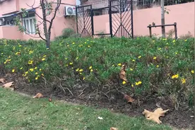 今早第一次看牙去徐汇区牙防所，原来这仅仅是个开始😂视频封面