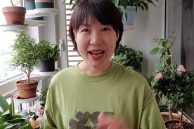 夏季所有植物都不能施肥吗？错！应该先判断再决定施不施肥？视频封面