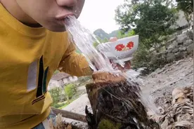 用这方法杀芭蕉树，连根都会烂掉！！！芭蕉树必死无疑……视频封面