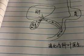 胆汁单纯就是消化脂肪吗？胆汁还有很多生理作用，消化医生告诉你视频封面