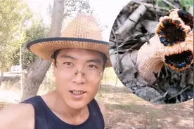 山西大力树林里发现不明植物。长的奇形怪状大力觉得有剧毒视频封面