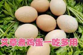 艾草浑身都是宝，用来煮鸡蛋作用这么多，值得收藏视频封面