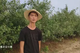 野菜也叫马蜂菜，这样炒加上两个鸡蛋，太香了视频封面