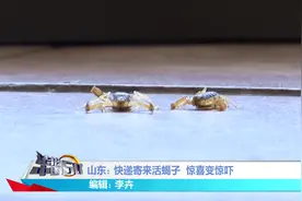 快递寄来活蝎子 ，惊喜变惊吓视频封面