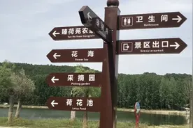 确山县美丽乡村常庄，小河南岸北岸转一圈，美景陶醉了双眼！视频封面