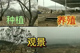 农村土豪承包1000亩山地打造种植、养殖一体化的家庭农场生态园视频封面