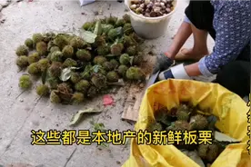 小马哥带你去赶集，南宁市隆安县那桐镇圩日人山人海，土特产多多视频封面