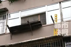 家中养鸽邻居遭殃 六部门联合清查