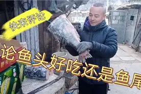 胖头鱼到底鱼头好吃还是鱼身子好吃，快来评论视频封面
