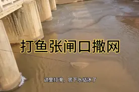 打鱼张黄河闸口撒网逮鱼，来练练撒网技术吧，不把鱼打晕不散伙了视频封面