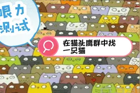 眼力测试：找出混在猫头鹰中的一只猫。找出的眼力都超级厉害。视频封面