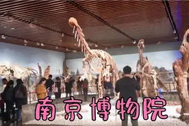 打卡南京博物院，不仅有恐龙猛犸象化石，还有稀世珍宝金缕玉衣视频封面