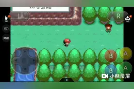 口袋妖怪圣灰5：来到，浅红市的神秘原野区。