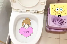 马桶的小飞虫太烦人，往里面喷一些它，虫卵都不会留下