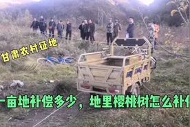 甘肃农村征地，离市区六公里看看一亩地补偿多少钱，能成暴发户么视频封面