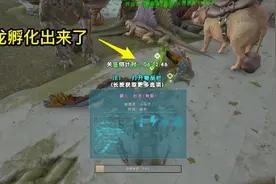 方舟灭绝05 小伙子用这个办法孵化岩龙蛋视频封面