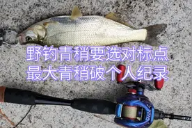 路亚青稍选对标点就能连杆
