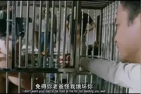 你一天没进食了,请你吃只鲍鱼吧