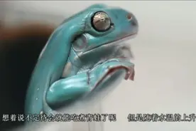 温水煮青蛙