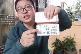 80岁老人专用手机套，东西做工很粗糙但希望有人制造这个东西。