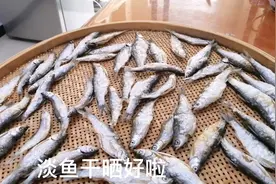 你想知道夏天怎么晒鱼干？