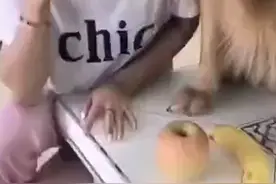 嗯？什么玩意？猕猴桃臭吗？